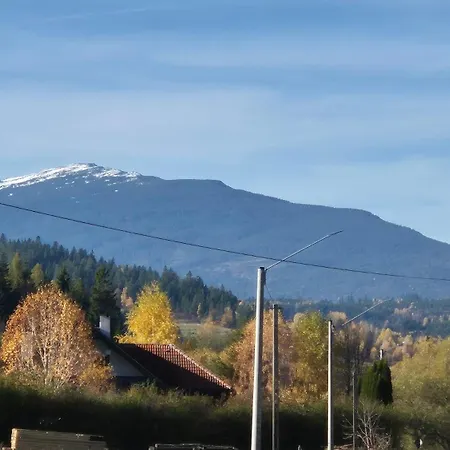 Relaks Nad Potokiem *