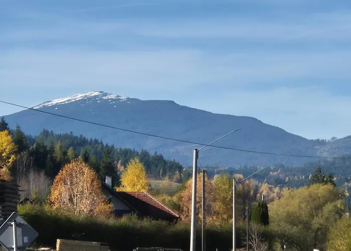 Relaks Nad Potokiem *